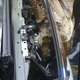 Illustration for article titled Mechanic saves adorable hawk jammed into Lexus grille